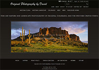 Website Design | E-commerce | Photography